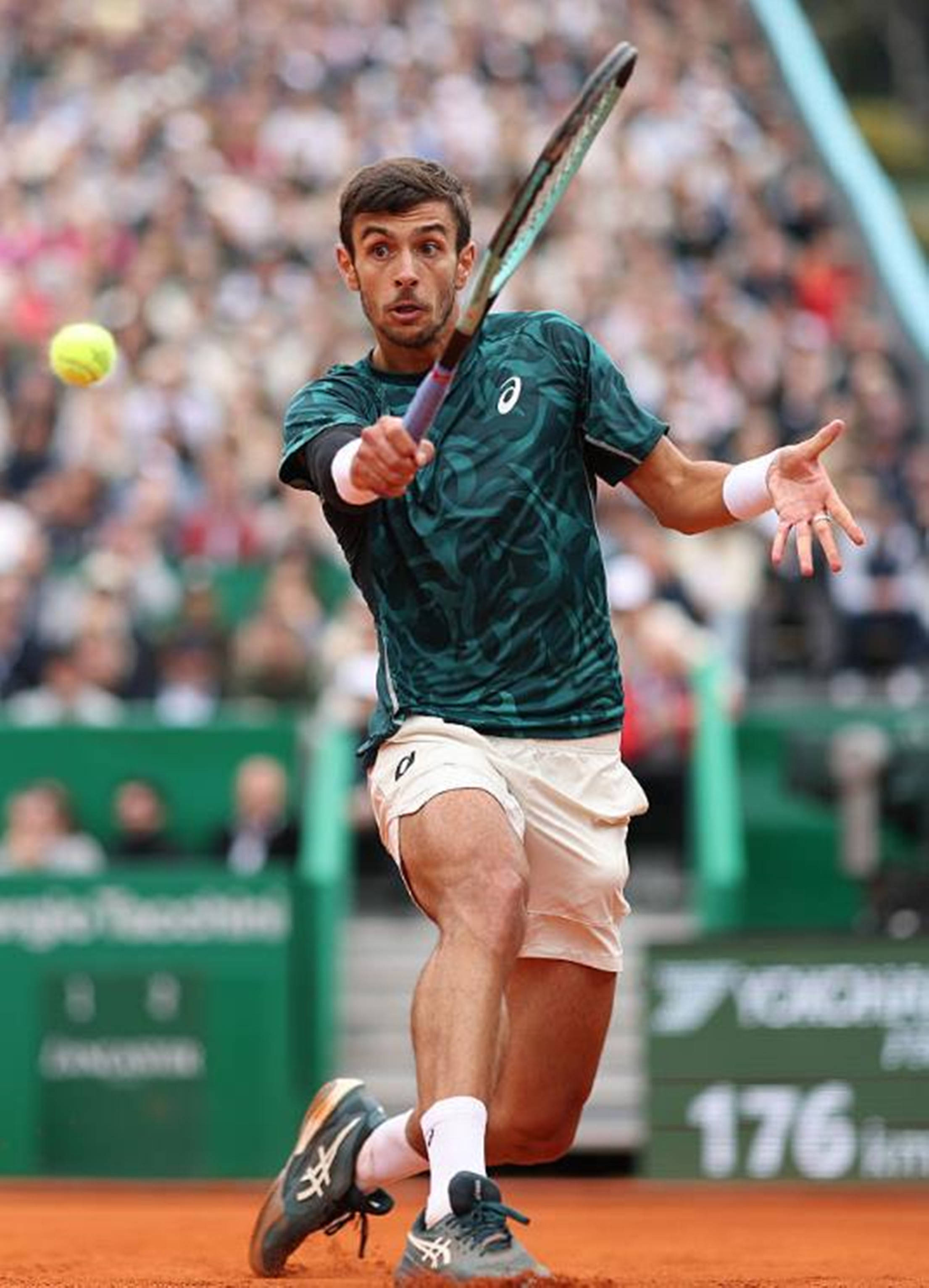 这一点尤为 这一点尤为