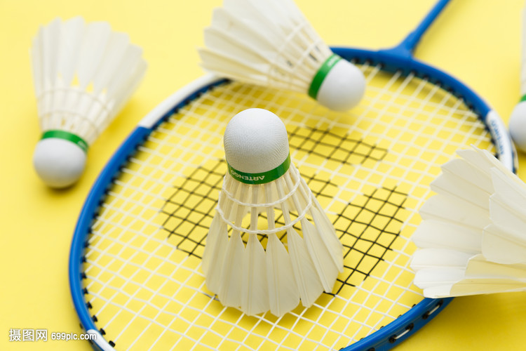 也被上海队 也被上海队